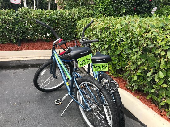 Marco Island Bike Rentals